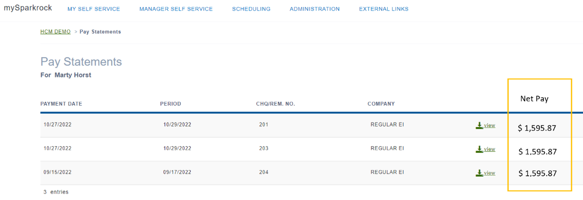 Pay Statements page Net Pay field