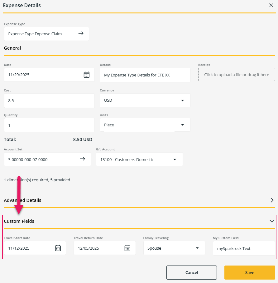 Expense Details page - Custom Fields tab