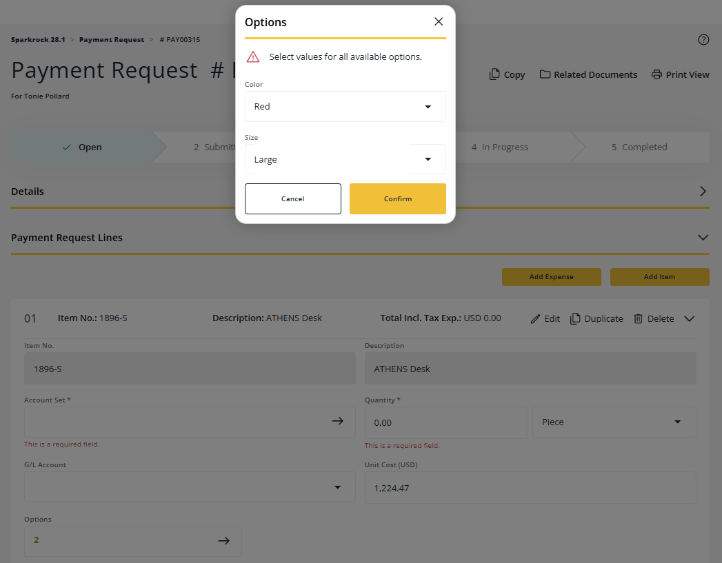 Payment Request page Options dialog box