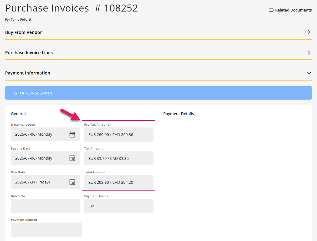 Purchase Invoices page Payment Information tab dual currency fields