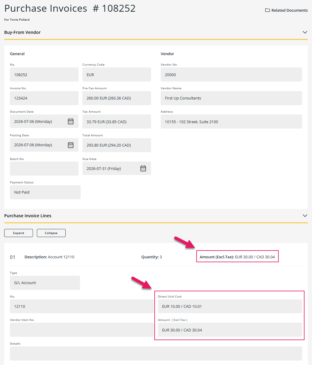 Purchase Invoices page Purchase Invoice Lines tab dual currency fields