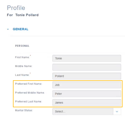 Preferred name fields